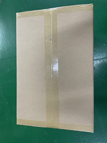 ALLPOWERS Portable Power Station R600, 299Wh LiFeP04 Battery with 2x 600W