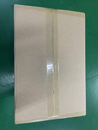 ALLPOWERS Portable Power Station R600, 299Wh LiFeP04 Battery with 2x 600W