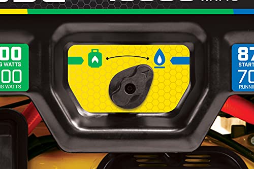 Champion Power Equipment 100416 10,000/8,000-Watt TRI Fuel Portable Natural Gas Generator