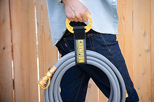 Champion Power Equipment 100416 10,000/8,000-Watt TRI Fuel Portable Natural Gas Generator