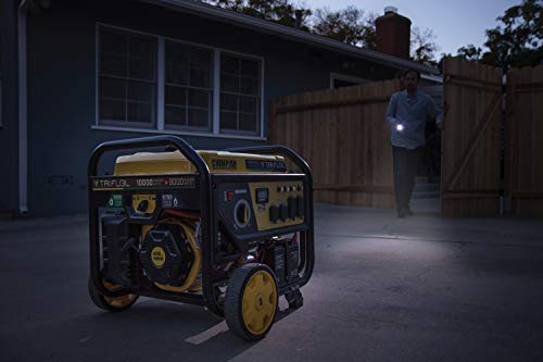 Champion Power Equipment 100416 10,000/8,000-Watt TRI Fuel Portable Natural Gas Generator
