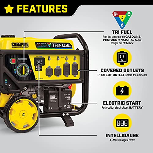 Champion Power Equipment 100416 10,000/8,000-Watt TRI Fuel Portable Natural Gas Generator