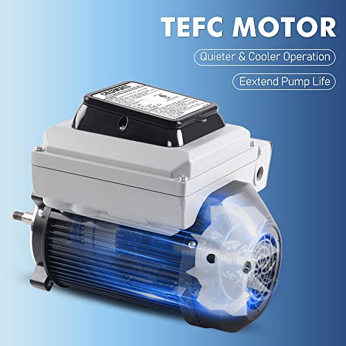 CHLORWORKS Variable Speed Pool Pump Inground - with Filter Basket for Inground Pools