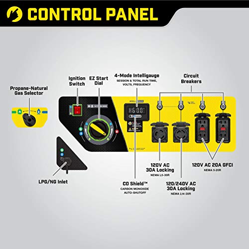 Champion Power Equipment 100416 10,000/8,000-Watt TRI Fuel Portable Natural Gas Generator