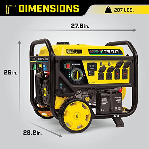Champion Power Equipment 100416 10,000/8,000-Watt TRI Fuel Portable Natural Gas Generator