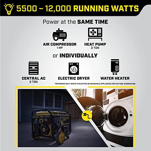 Champion Power Equipment 100416 10,000/8,000-Watt TRI Fuel Portable Natural Gas Generator