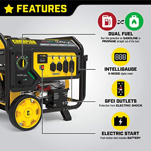 Champion Power Equipment 100891 9375/7500-Watt Dual Fuel Portable Generator
