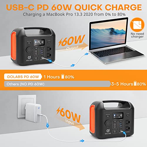 GOLABS R300 Portable Power Station, 299Wh LiFePO4 Battery Backup