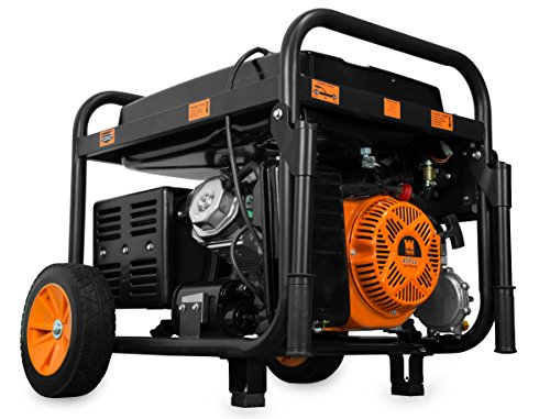 WEN DF1100T 11,000-Watt 120V/240V Dual Fuel Portable Generator