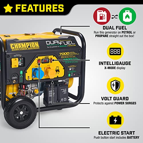Champion Power Equipment CPG7500E2-DF 7000 Watt LPG Dual Fuel Portable Frame Generator